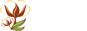 Radheshyam Cottex