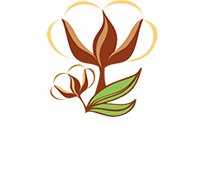 Radheshyam Cottex